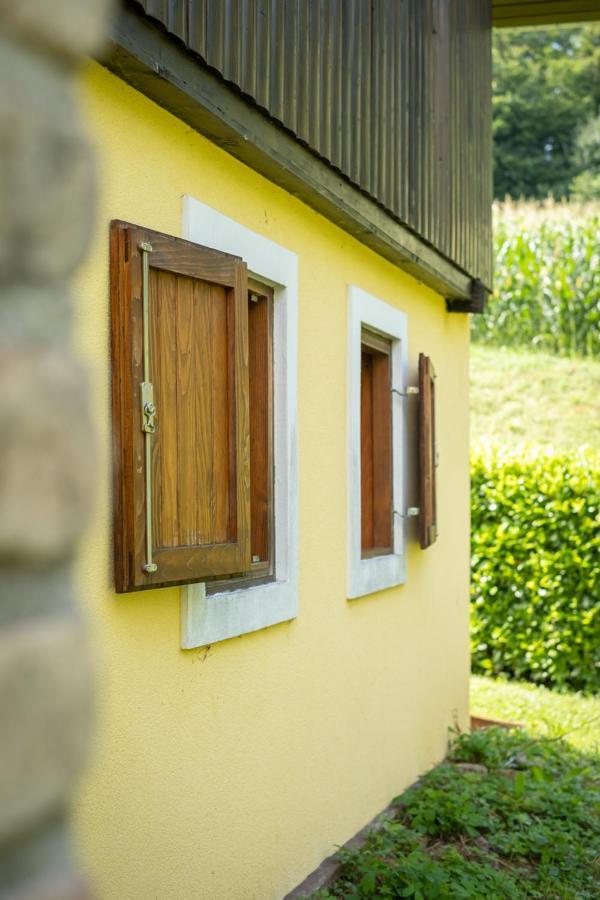 Green Hills Cottage In Zagorje With Magnificent View Ravnice-Desinicke Екстериор снимка